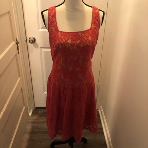 The Limited Pink Lace A Line Dress